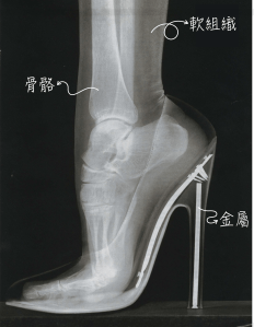 螢幕快照 2017-10-27 下午6.52.33