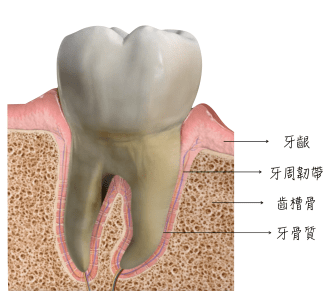 螢幕快照 2019-01-20 下午4.59.54